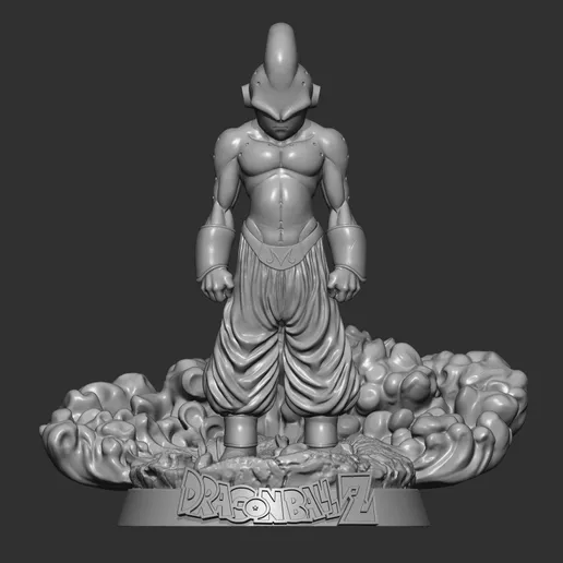 Model Image