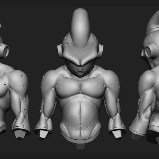Model Image
